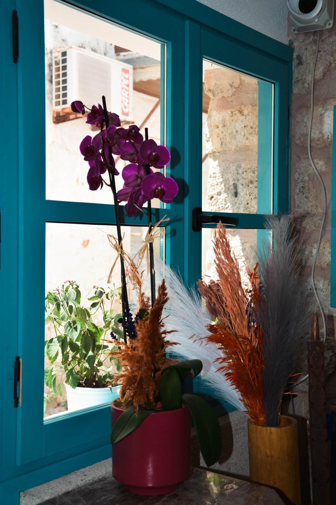 Casa Alegre อาเลอเจอติ ภายนอก รูปภาพ
